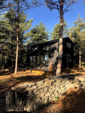 Forest House, Tiidu in Nässuma